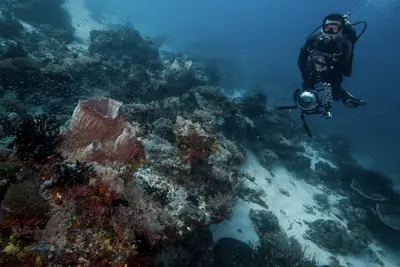 A scuba diver explores a vibrant coral reef at dawn, surrounded by colorful sponges and marine life in clear blue water.